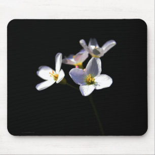 Cardamine Pratensis Blume Mousepad
