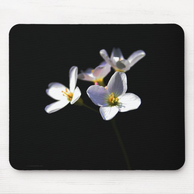 Cardamine Pratensis Blume mpcnm Mousepad (Vorne)