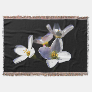 Cardamine Pratensis Blume tbcnm Decke