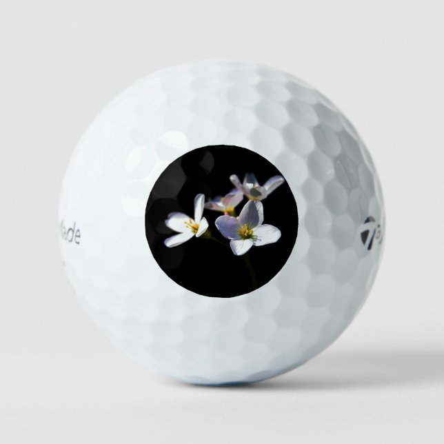 Cardamine Pratensis Blume tmtp5 gbcnm Golfball (Vorderseite)