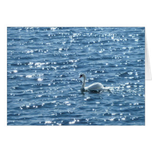 Cardiff Bay, Cardiff, Pays de Galles