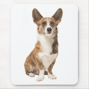 Cardigan Welsh Corgi Welpe Hund Mousepad