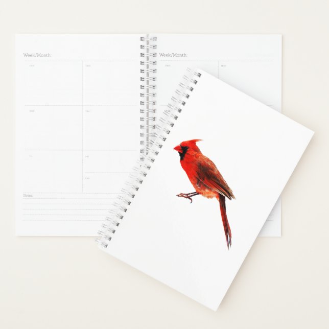 Cardinal (Devant avec enveloppe)