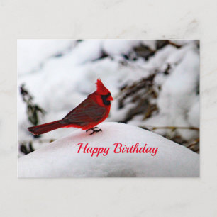 Cardinal 6239 Carte postale Anniversaire