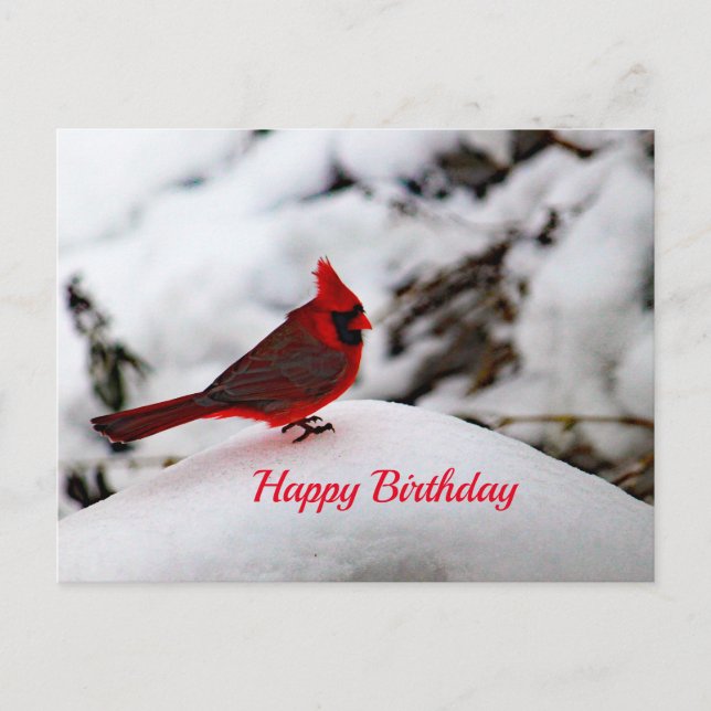 Cardinal 6239 Carte postale Anniversaire (Devant)
