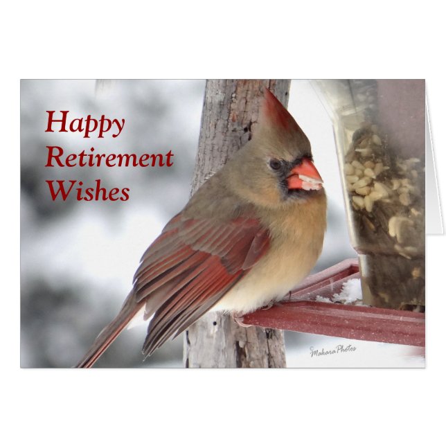 Cardinal 6649 xc - personnaliser (Devant horizontal)