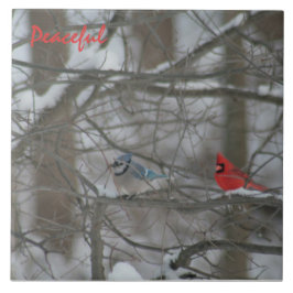 Cardinal and Jay Fliese