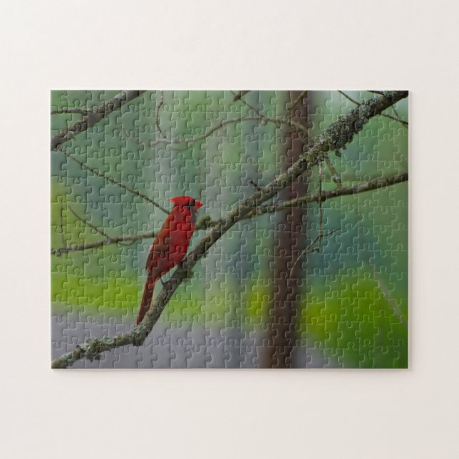 Cardinal Birds. Jigsaw Puzzle (Horizontal)