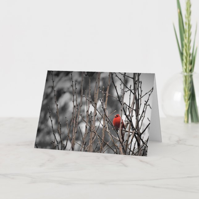 Cardinal, carte (Devant)