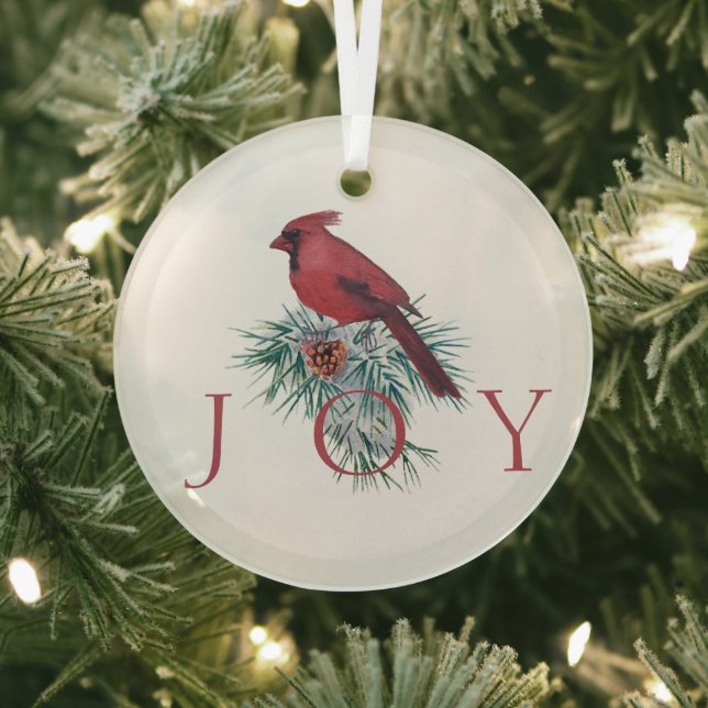 Cardinal coutume Noël Ornement en verre de Noël (Insitu)