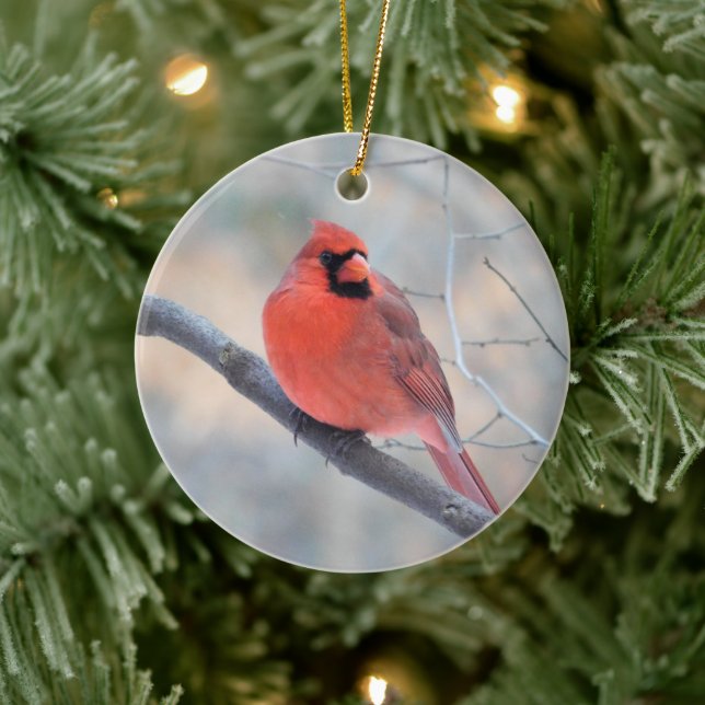 Cardinal Creek Ornament (Baum)