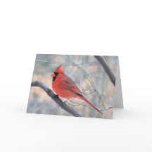 Cardinal Creek Profil Carte de voeux