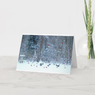 Cardinal dans la carte de voeux de neige