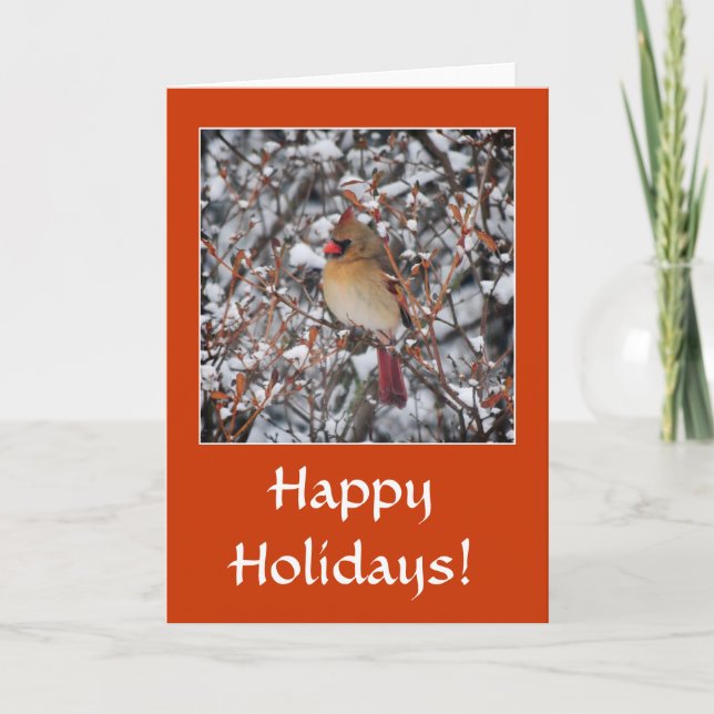 Cardinal dans la neige Cartes de voeux de Noël (Devant)