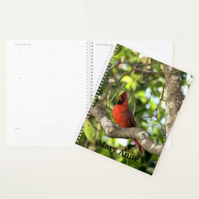 Cardinal dans l'arbre Personnalisé (Devant avec enveloppe)