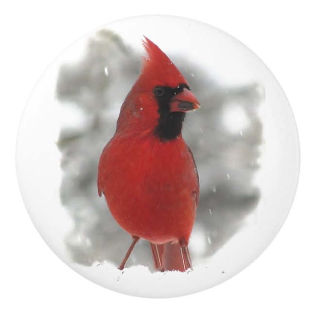 Cardinal dans le bouton en céramique de neige (Devant)
