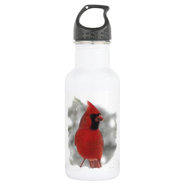 Cardinal en Neige Bouteille d'eau 18oz (Devant)
