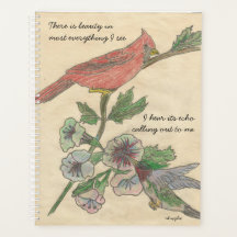 Cardinal et colibri
