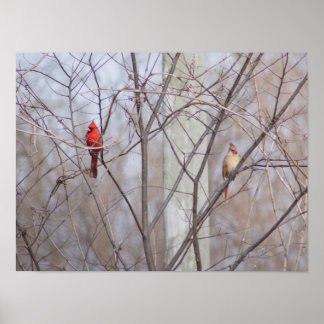 Cardinal family poster