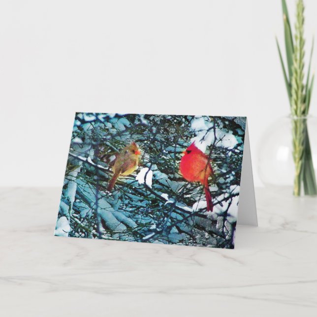 Cardinal hiver amour, cartes (Devant)
