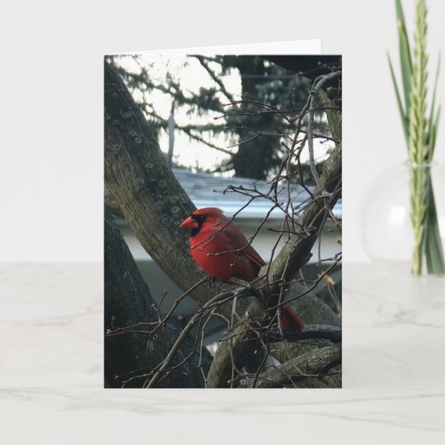Cardinal Homme Grande Police Carte de Noël (Devant)