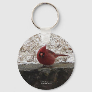 Cardinal Hot Springs Nat. Park Mt AR Geschenke Bek Schlüsselanhänger