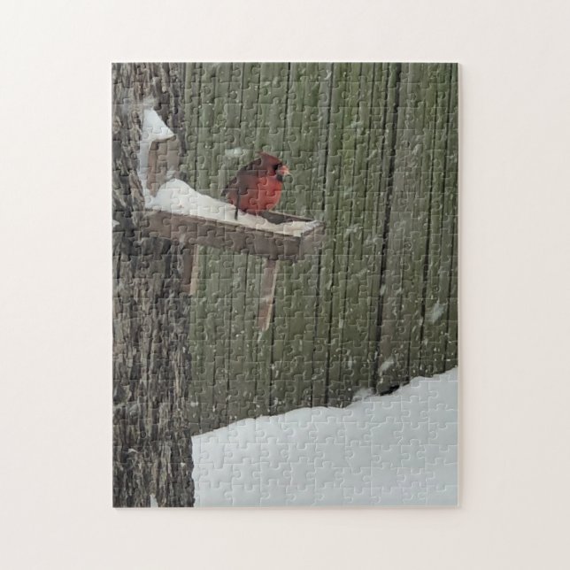 Cardinal in the snow (Vertikal)