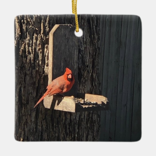 Cardinal Keramikornament (Vorderseite)