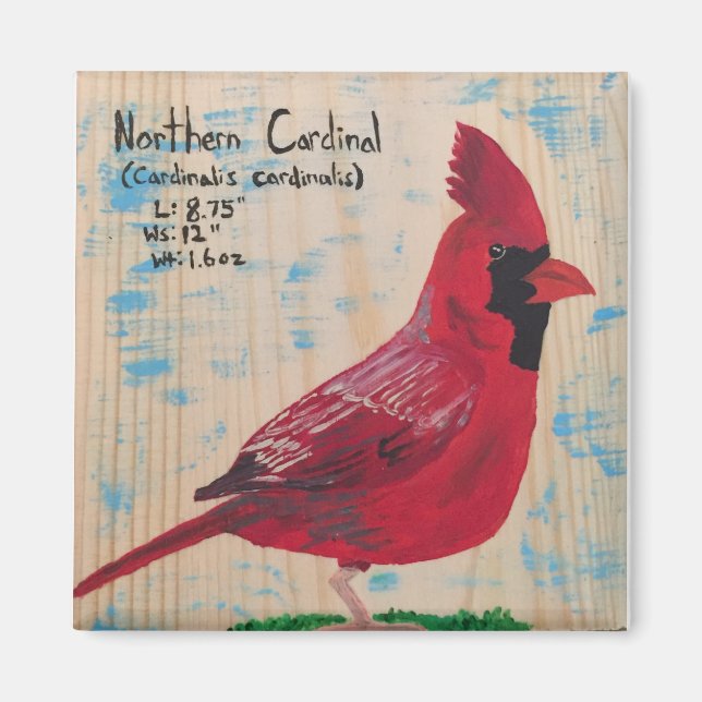 Cardinal Magnet (Devant)