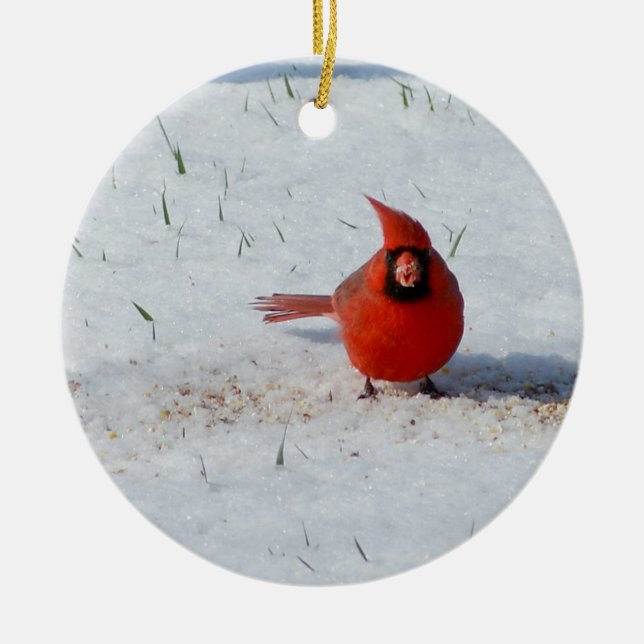 Cardinal masculin en ornement en céramique de (Devant)
