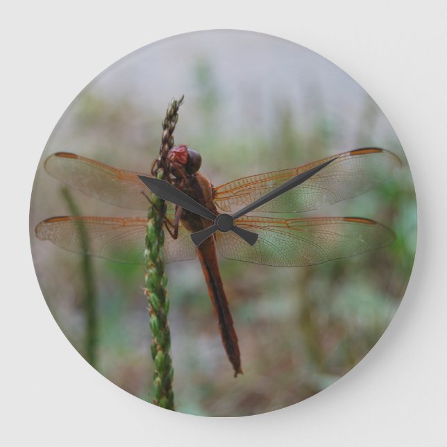Cardinal Meadowhawk Dragonfly Große Wanduhr (Vorderseite)