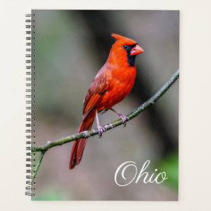 Cardinal Ohio Planificateur hebdomadaire/mensuel