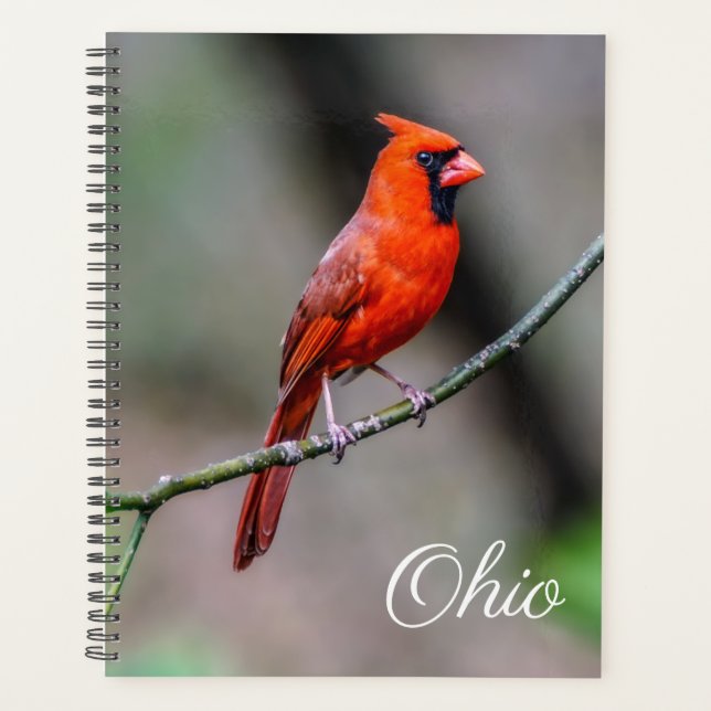 Cardinal Ohio Planificateur hebdomadaire/mensuel (Devant)