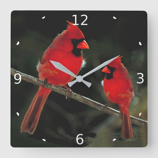 CARDINAL QUADRATISCHE WANDUHR (Vorderseite)