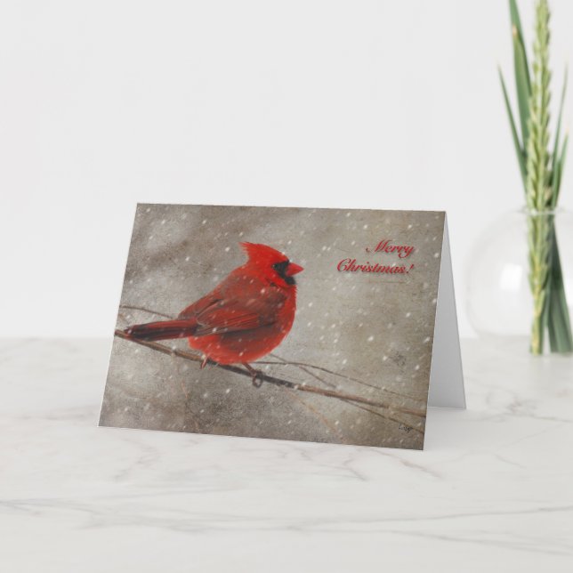Cardinal rouge dans la neige - carte de Noël (Devant)