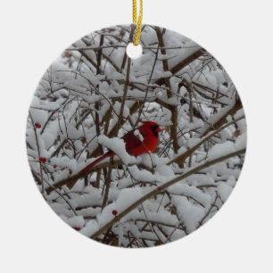 Cardinal rouge dans un ornement d'arbre rempli de