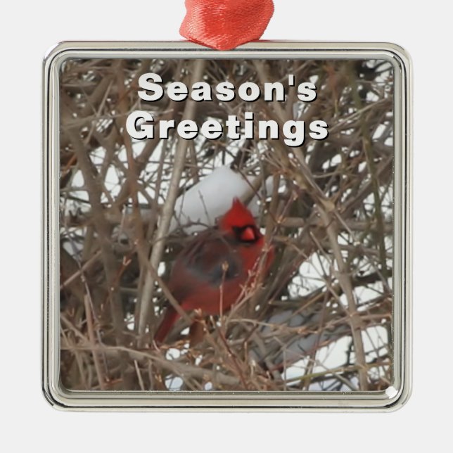 Cardinal rouge masculin en ornement d'hiver (Devant)