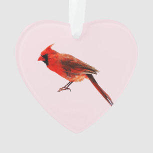 Cardinal(s)
