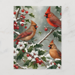 Cardinaux et carte postale Holly Holiday
