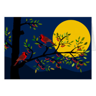 Cardinaux sur la Pleine lune de succursale