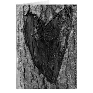 Cardiologie des arbres