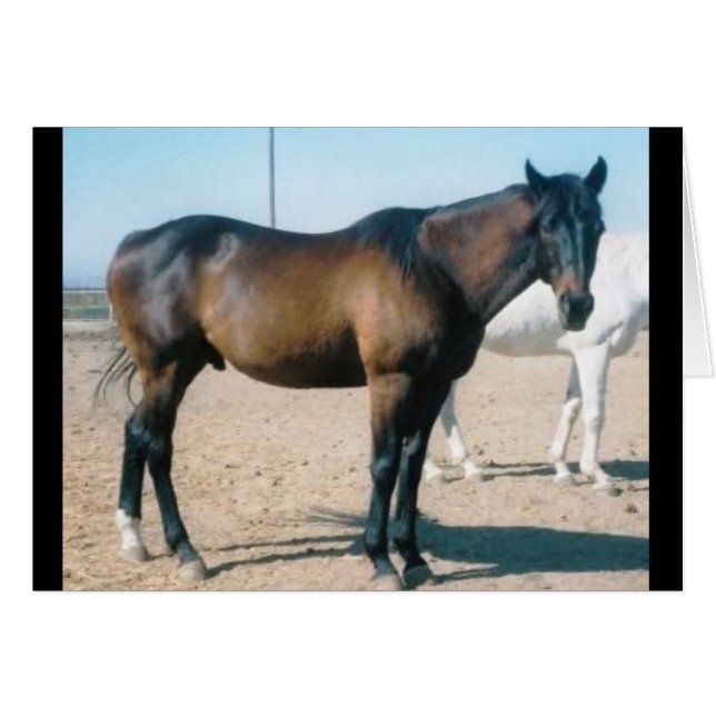 Cardmanie (Devant horizontal)