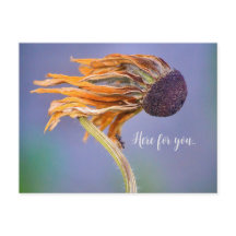 Care Concern Sentiment Here for You