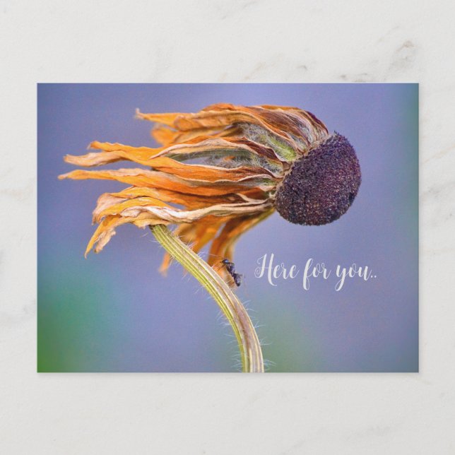 Care Concern Sentiment Here for You Postkarte (Vorderseite)