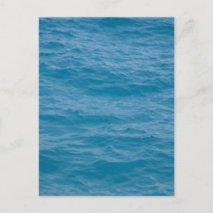 Caribbean Blue Water Postkarte