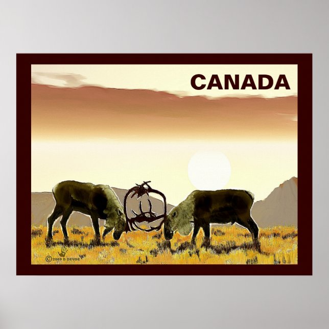 Caribbean Duel - Kanada Poster (Vorne)