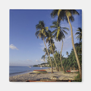 CARIBBEAN, Grenada, St. George, Palmenboote Magnet