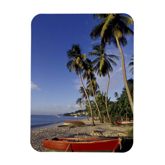 CARIBBEAN, Grenada, St. George, Palmenboote Magnet (Vertikal)