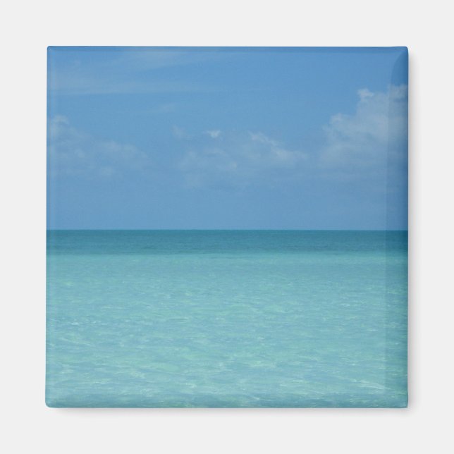 Caribbean Horizon Tropical Turquoise Blue Magnet (Vorne)