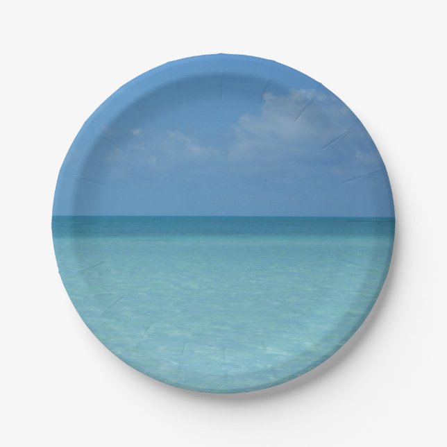 Caribbean Horizon Tropical Turquoise Blue Pappteller (Vorderseite)